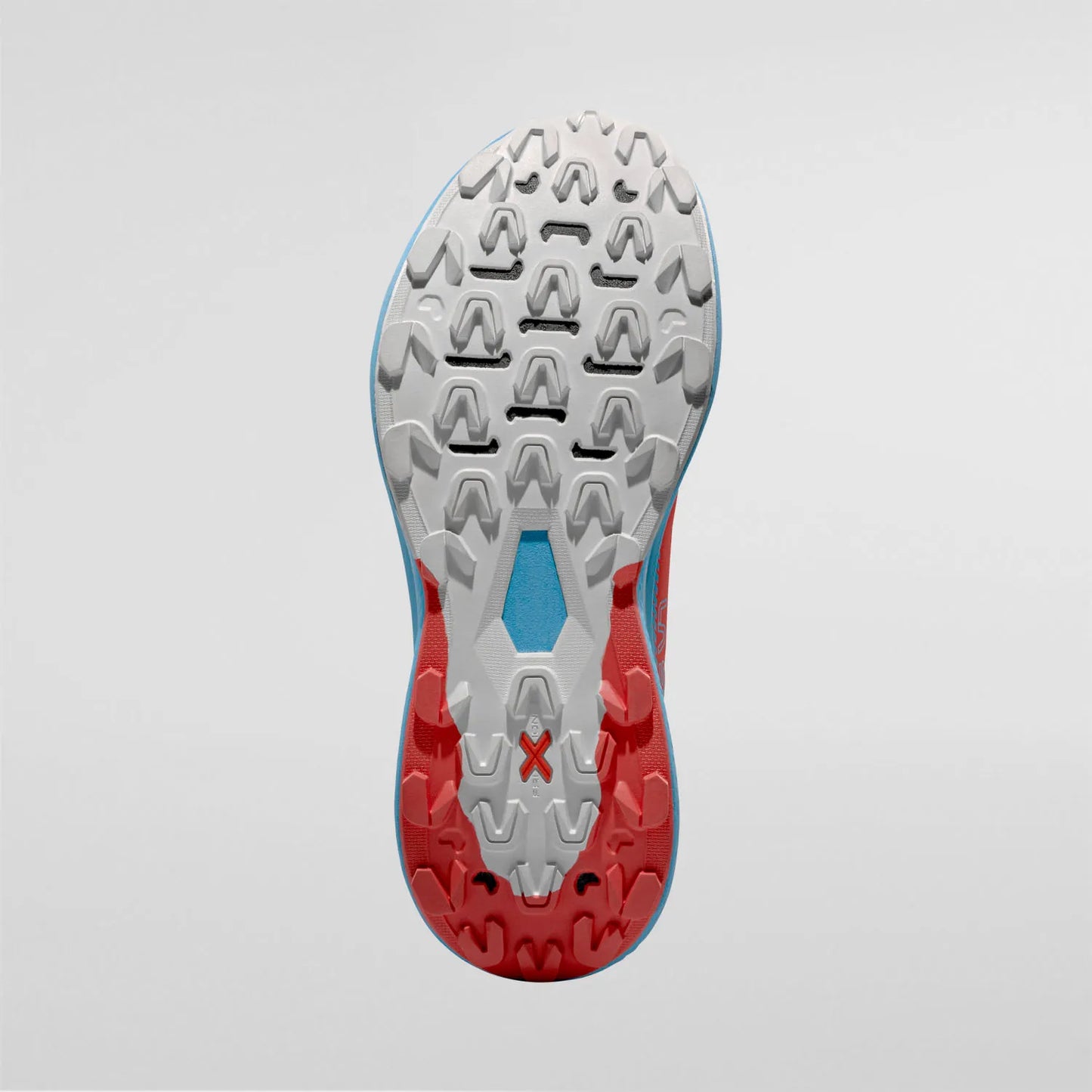 Prodigio Woman Hibiscus/Malibu Blue