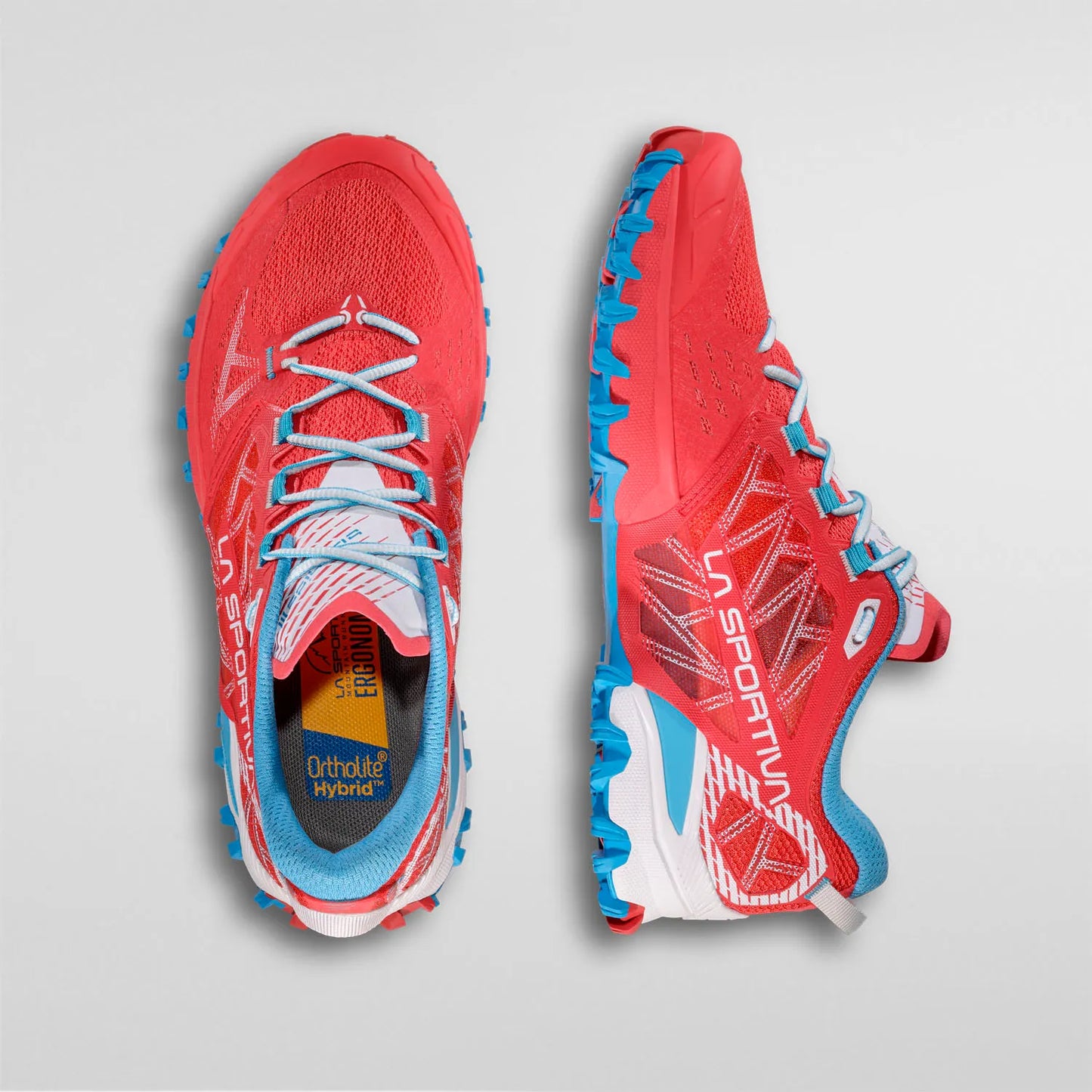 Bushido III Woman Hibiscus/Malibu Blue