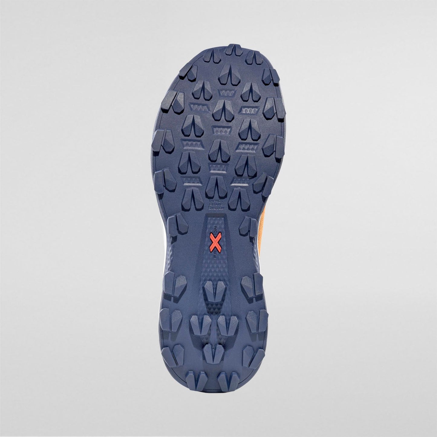 Prodigio Hike LT GTX Chestnut/Night Sky