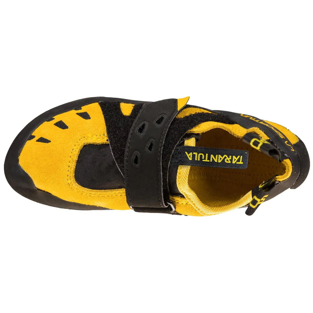 Tarantula JR Yellow/Black