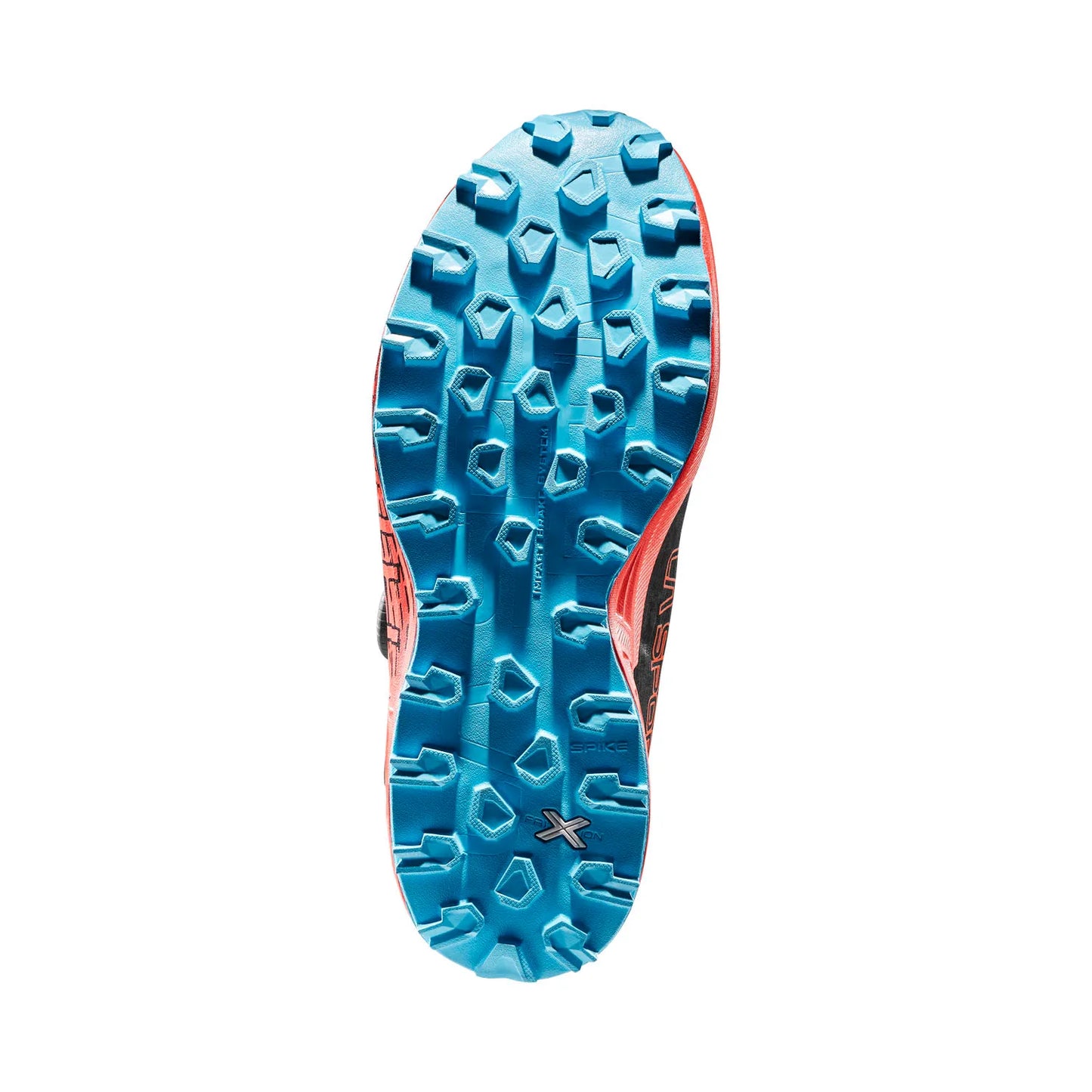 Cyklon Cross Woman Gtx Black/Hibiscus