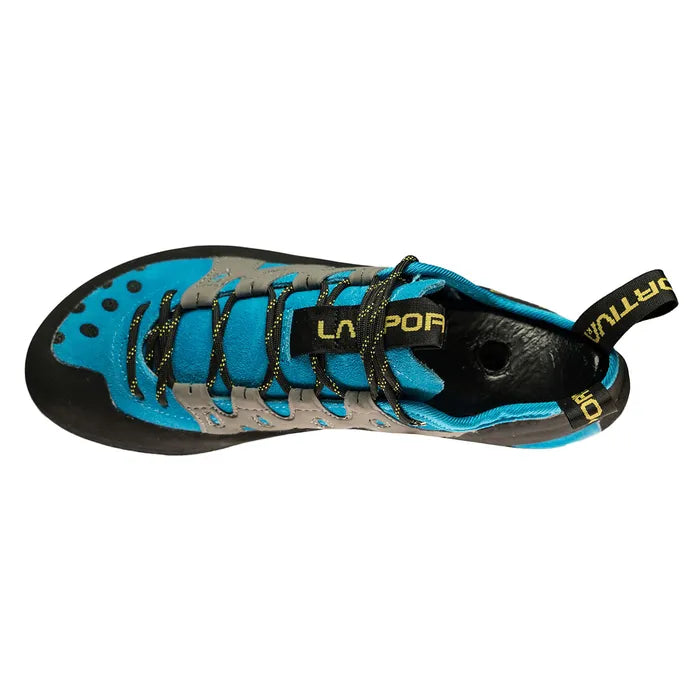 Tarantulace Blue