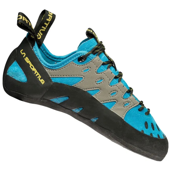 Tarantulace Blue
