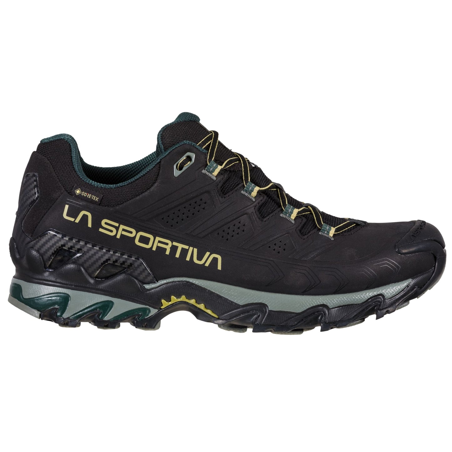 Ultra Raptor II Leather Wide GTX Black/Cedar