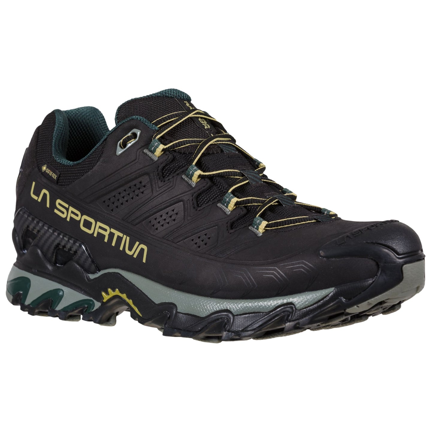 Ultra Raptor II Leather Wide GTX Black/Cedar